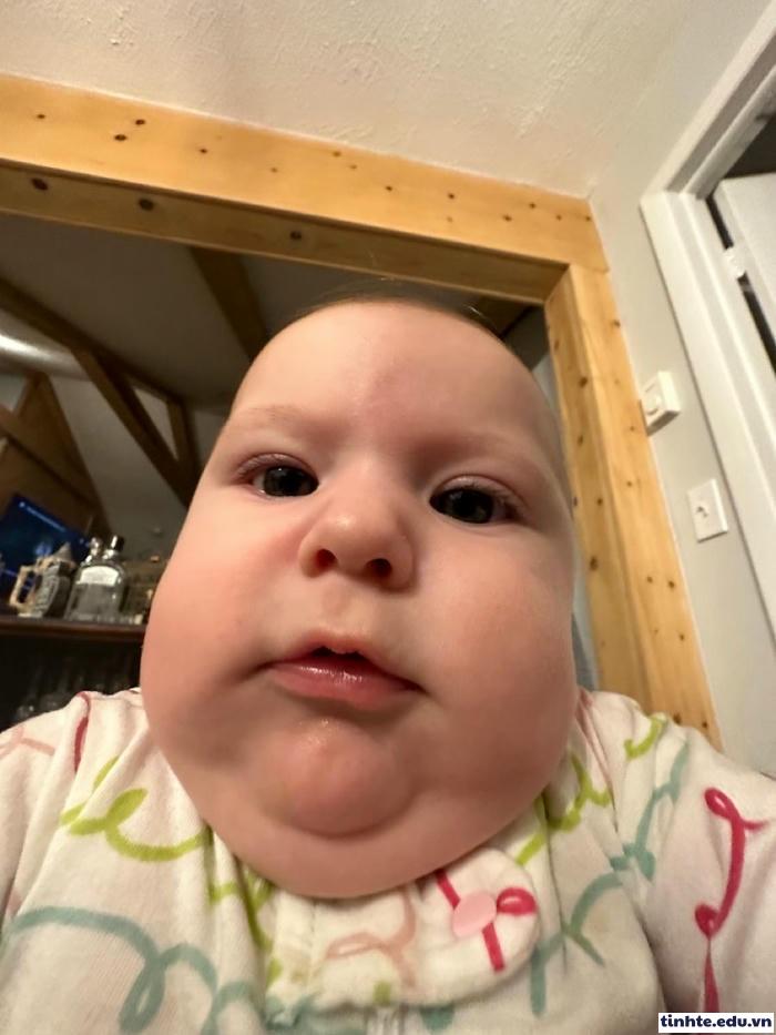 Meme em bé ngộ nghĩnh